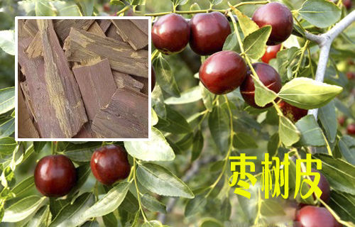 刀伤药极效方，一次即愈 - 瀛子 - 瀛の小笺