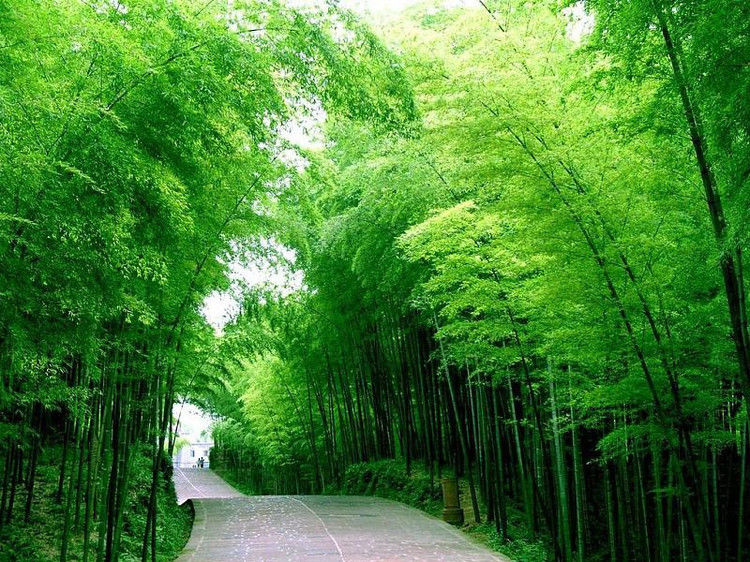 眼睛累了，就看看这些图片 