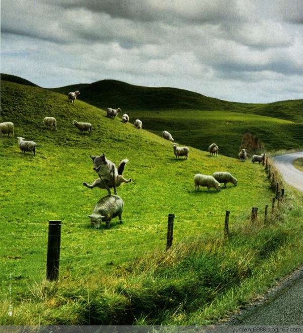 艳遇的最高境界【组图】 - 云鹏润峰 - 云鹏潤峰