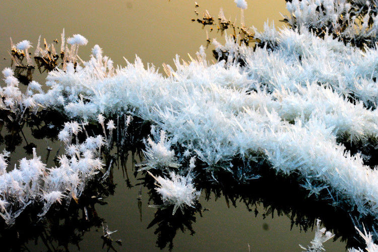 罕见的盐湖硝花