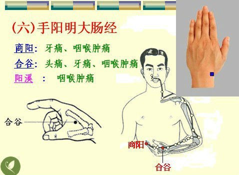五行经络图加实作，值得收藏！ - 吝色鬼 - 吝色鬼 的博客