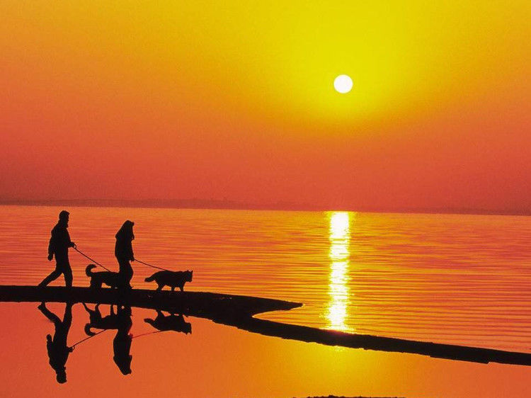 与您同赏——最美不过夕阳红（夕阳照拍得真棒！） - 小荷 - 小荷的博客