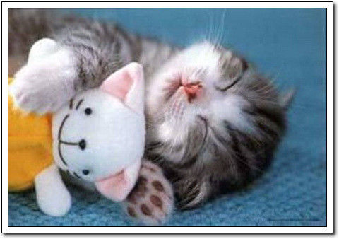 周末要轻松！【幽默图片50P】 - 無為居士 - 聚美齋