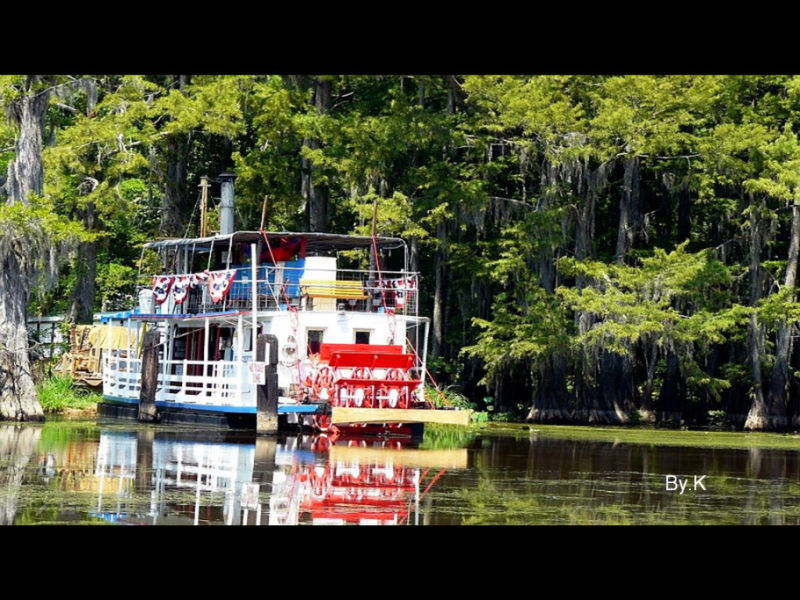 Rose【Caddo Lake】（4007） - Rose - Rose Yang的博客