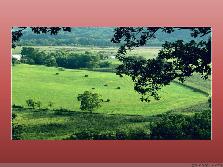 握住长寿的钥匙 - 老教授 - 老教授