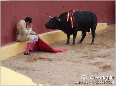 点击进入连续看图模式