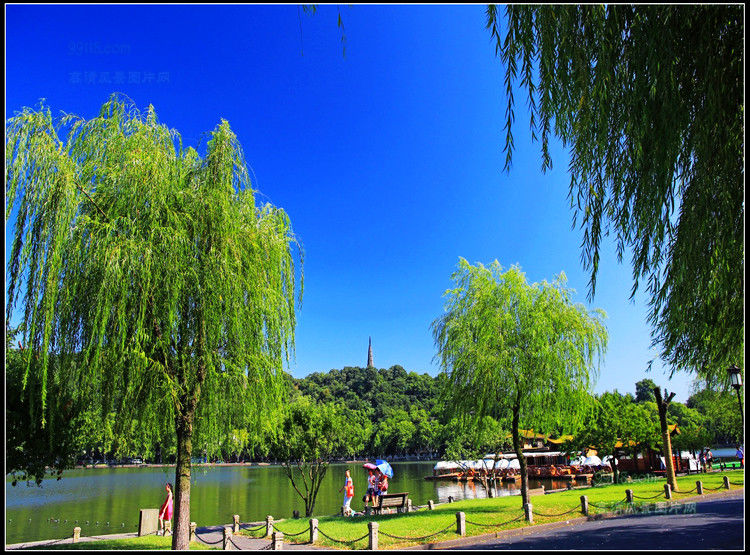 杭州湾风光 - 飞春 - 飞春博客