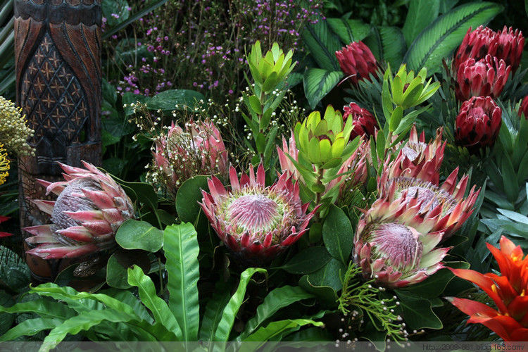 两性人体知识大全！不可不知... - 宝贝梦 - 分享美丽.分享快乐.品味人生