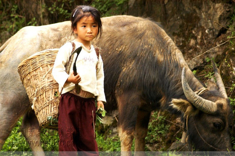 揭秘中国农民真正贫困的原因—— - 一统江山 - 一统江山的博客