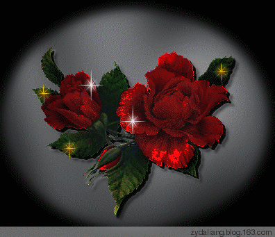 红萝卜塞冰糖、咳嗽不用去药房！ - 瀛子 - 瀛の小笺