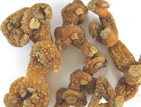 男性精力不济 黄精酒帮你调理【健康知识】 - 西北雄鹰ˇ - 々西北雄鹰ˇ的博客