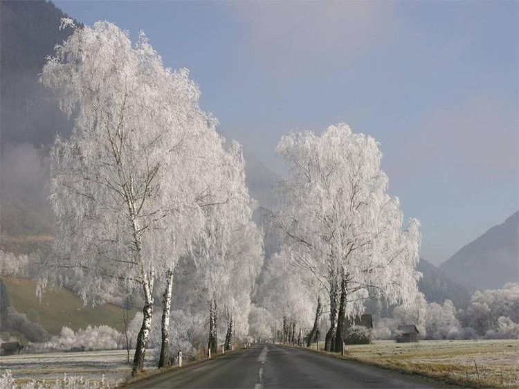 写给七十岁时的自己 - 老教授 - 老教授