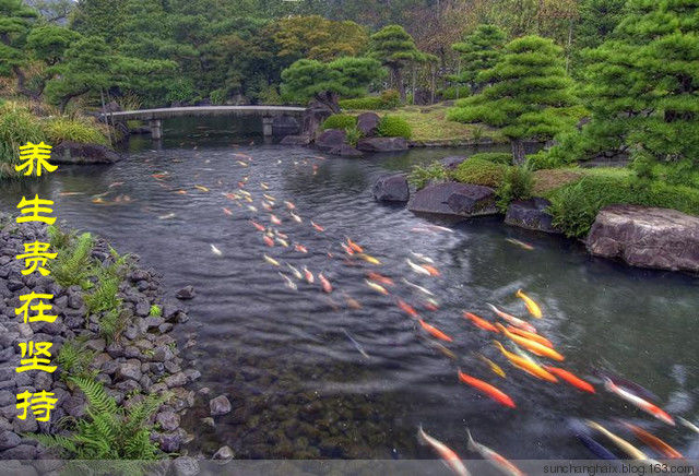 用醋泡过这三样东西保你一生不得病 - 孙长海 - 孙长海 博客