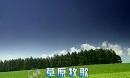 王宏伟草原歌曲《草原牧歌》