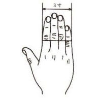 杨凡原创作品：小儿推拿不传之秘之穴位篇 - 杨凡 - 我的健康我做主