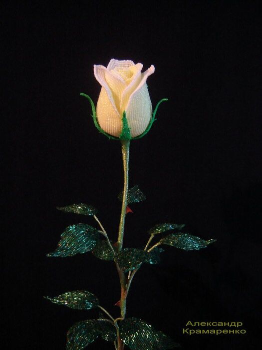 DSC00006_2 (525x700, 44Kb)