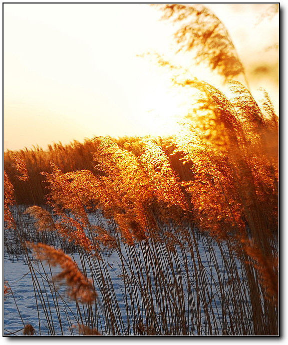 秋旖旎秋色 美不胜收  伊水一方 开心屋