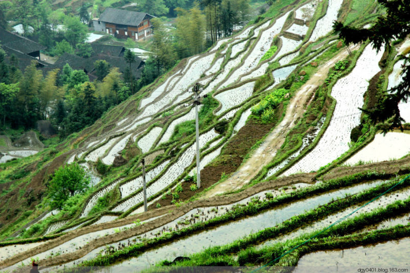 紫鹊界——冷风凄雨中的梯田 - 酉水人 - 酉水人