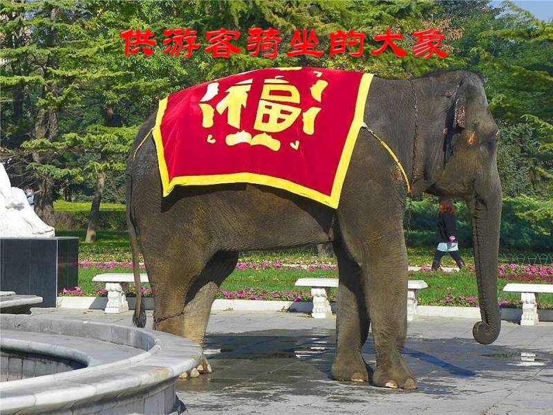 世界公园1【62】 - PPT园地 - 永平的博客