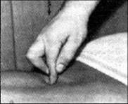 五行经络图加实作，值得收藏！ - 吝色鬼 - 吝色鬼 的博客