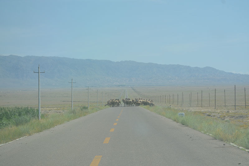 博乐怪石峪，世界最大花岗斑岩怪石群 - 木子弓长 - 驴游记