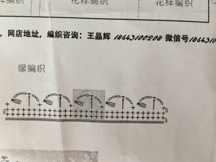 短款雀羽 （2015） - 瑜伽猫 - 瑜伽猫的博客