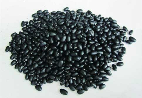 百法解百病 - 缘水禅心 - 