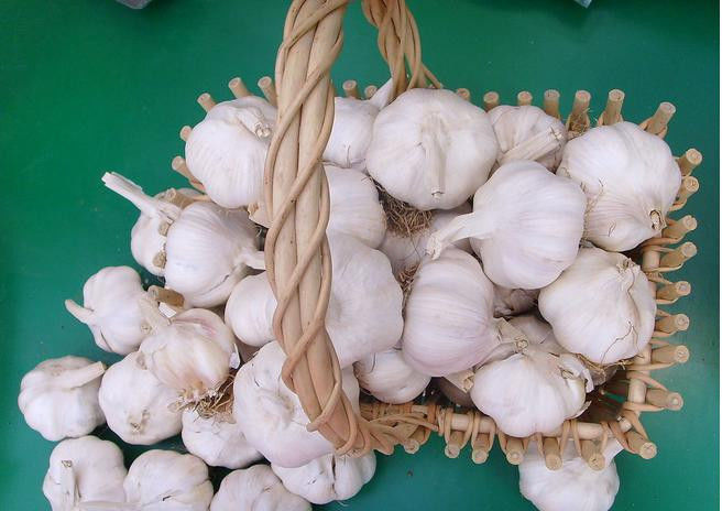 放置一颗洋葱在房间里！ 效果惊人 - 南南 - 阳光南南（看新闻）