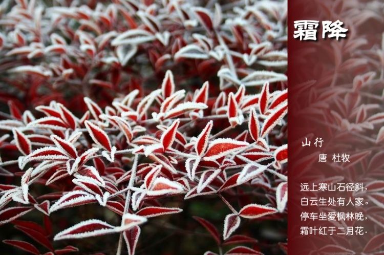 2015年01月23日 - xinlin198 - *平民博客*