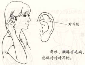 按耳治百病 - 天堂仙子 - 天堂仙子