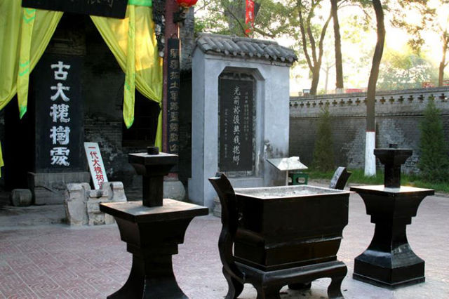 洪洞大槐树风景图片