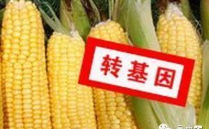 美国正式宣布转基因有毒!