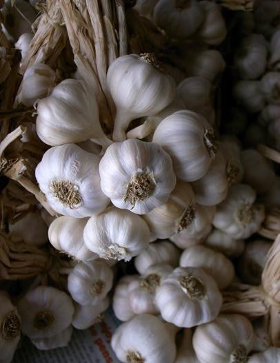 放置一颗洋葱在房间里！ 效果惊人 - 南南 - 阳光南南（看新闻）