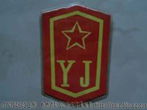 武警应急部队臂章