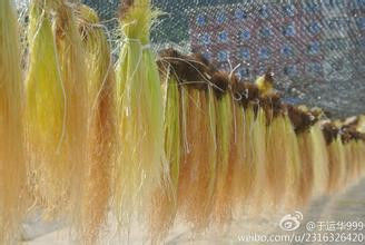 很实用的玉米须 - 小美 - xing1969wuw的博客