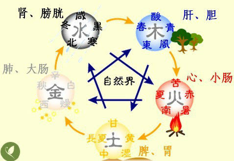 五行经络图加实作，值得收藏！ - 吝色鬼 - 吝色鬼 的博客