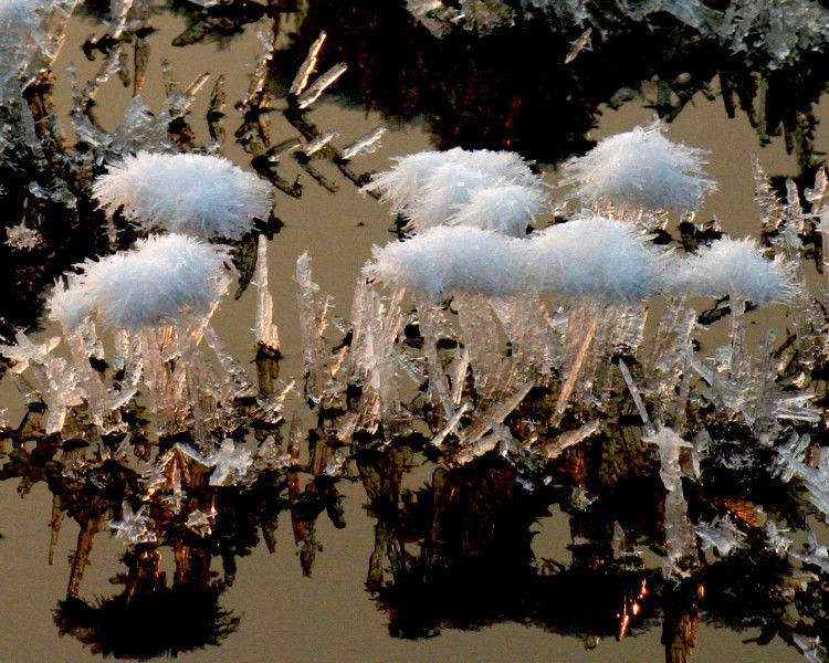 罕见的盐湖硝花【原创】