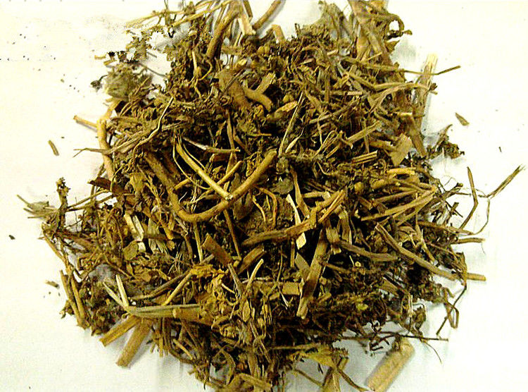 猫眼草---癌症患者的救命草 - ngycmyc - ngycmyc的博客