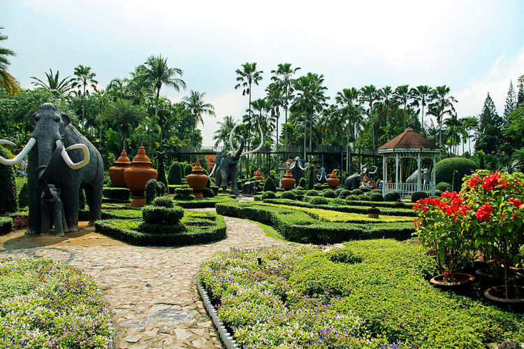 【引用】нуч花园轩弄。泰国 - 枫林傲然 -                  .