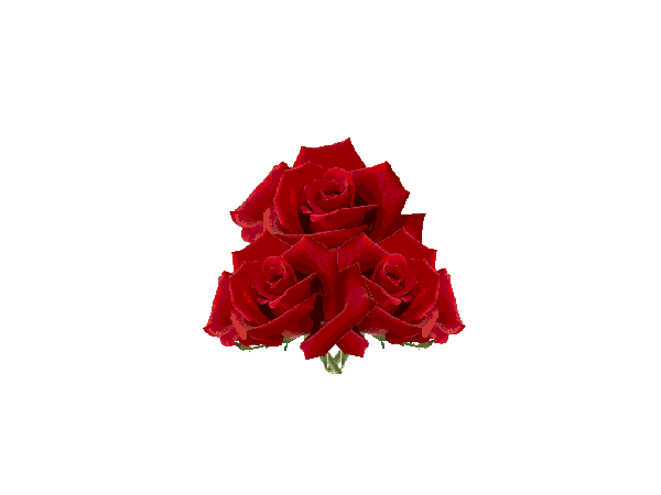 《生日快乐》精品图文边框 - 彼岸桃花 - .