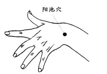 人体常用穴位及功用 - 铜雀台 - .