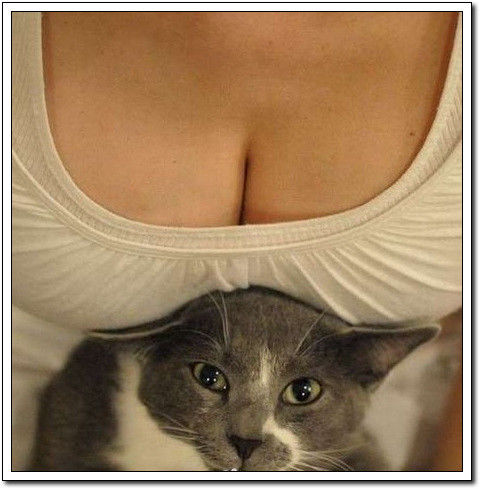 周末要轻松！【幽默图片50P】 - 無為居士 - 聚美齋