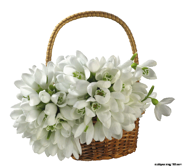 《房本过户》知识保存好，谁都用得着 - 地狱壳子 - 壳子的博客