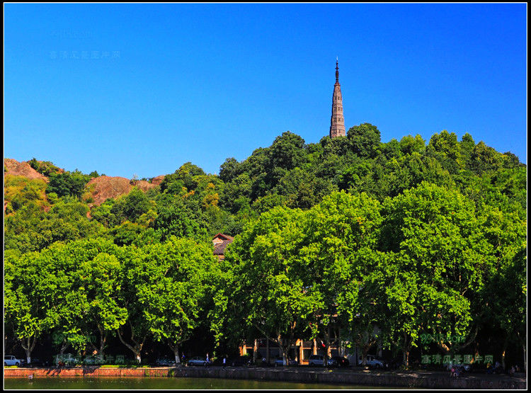 杭州湾风光 - 飞春 - 飞春博客