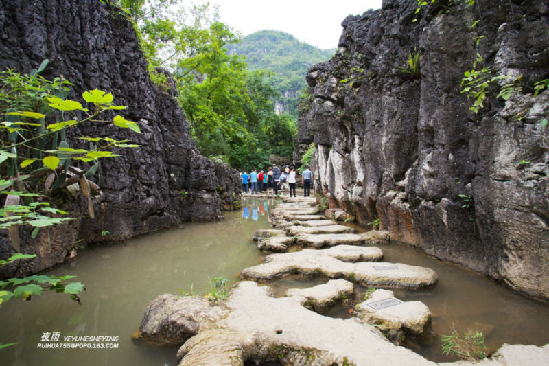 【原创】多彩贵州风：水上石林 - 夜雨 - 喜欢夜里沙沙下的雨......