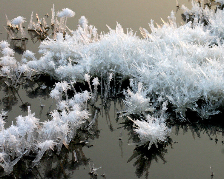 罕见的盐湖硝花【原创】