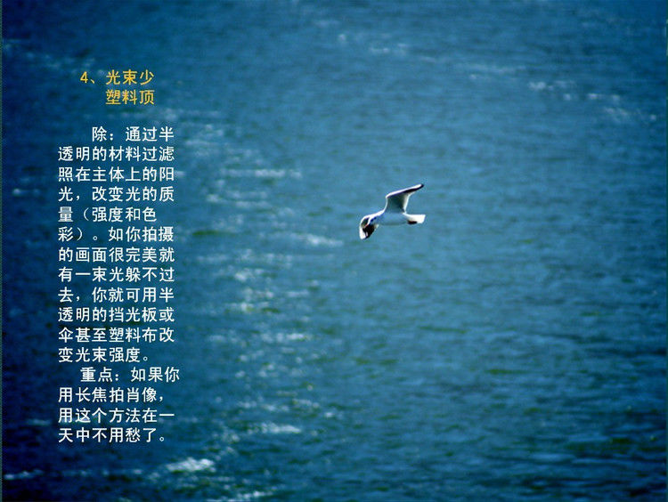 数码摄影入门讲座——摄影用光 - 遨游 - 遨游的博客