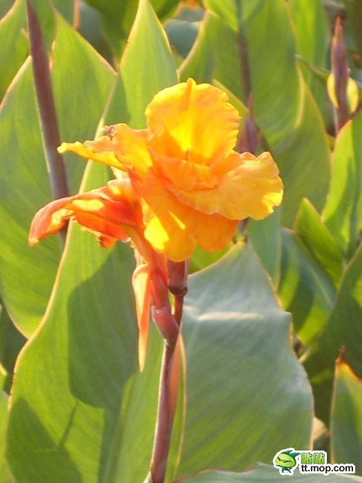 那些只属于出生在农村的80后记忆1339754706591