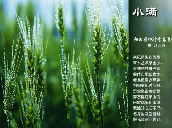 2015年01月23日 - xinlin198 - *平民博客*