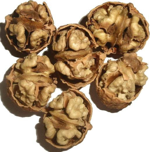 常被人丢掉的珍贵的“废物”【健康知识】 - 西北雄鹰ˇ - 々西北雄鹰ˇ的博客